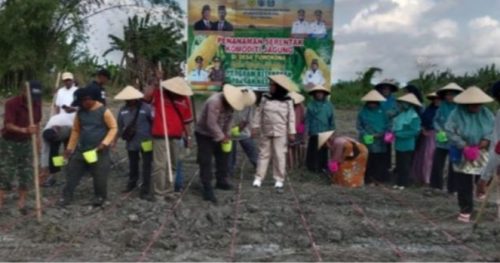 Warga Desa Tuwokona bersama aparat desa menanam jagung secara serentak di lahan pertanian.