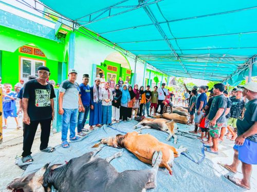 Kurban Belasan Sapi di Desa Orimakurunga Berlangsung Hingga Dua Hari Warga Desa Orimakurunga, Kecamatan Kayoa Selatan, Kabupaten Halmahera Selatan, Maluku Utara, berfoto bersama saat proses penyembelihan hewan kurban belasan ekor sapi pada Hari Raya Idul Adha 2026.